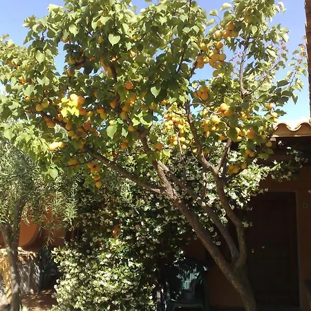 Lejlighedshotel La Pineta 4*