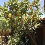 Aparthotel La Pineta 4*