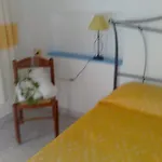 La Pineta 4*