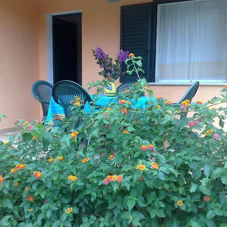 Appart hôtel La Pineta