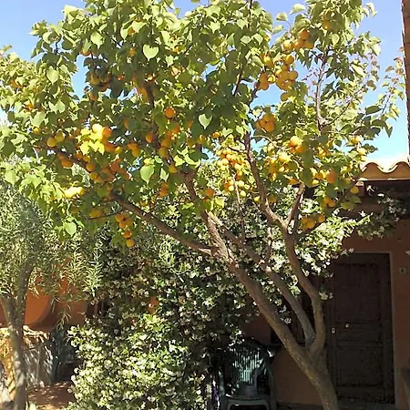 La Pineta