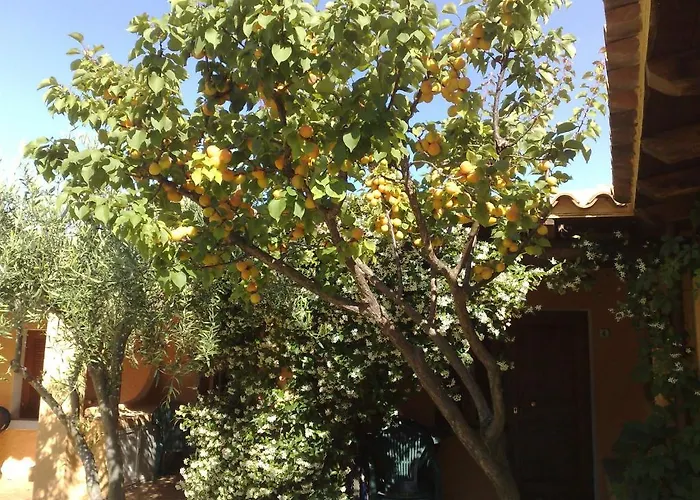 아파트호텔 La Pineta 4*