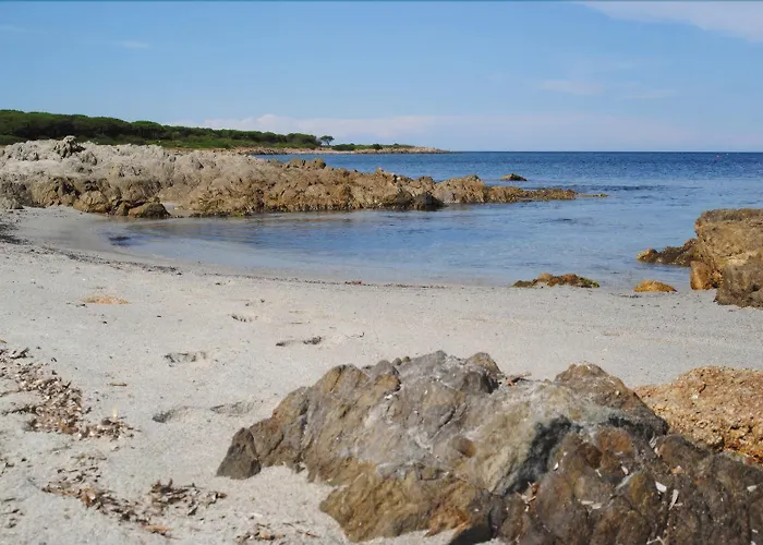 아파트호텔 La Pineta 부도니