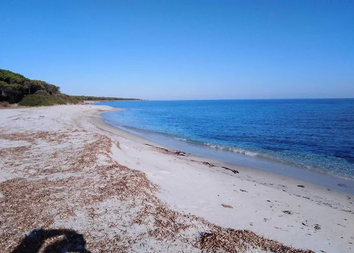 La Pineta 4* 부도니