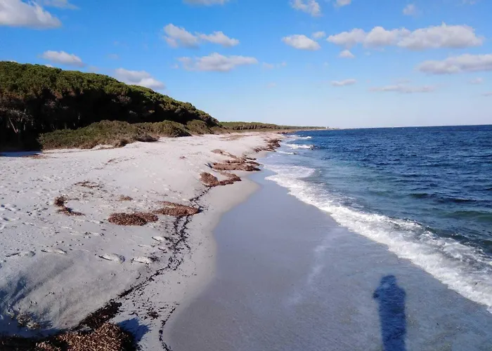 아파트호텔 La Pineta