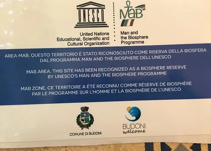 아파트호텔 La Pineta 부도니